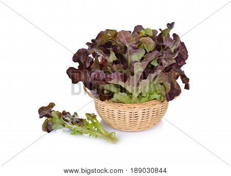 fresh red oak in rattan basket on white background