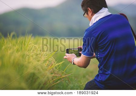 Man using smart phone taking photo of rice field