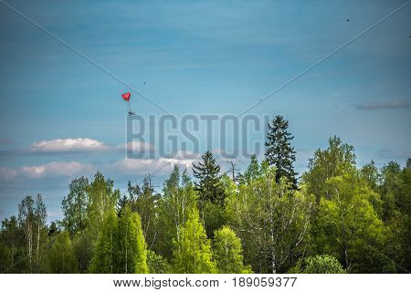 Paraplane in the sky above the forest