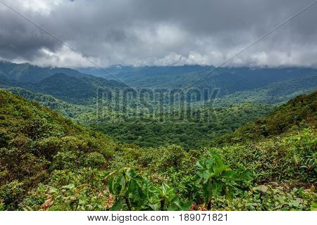 Wide panorama of cloud forest covering Reserva Biologica Bosque Nuboso Monteverde in Costa Rica