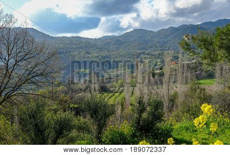 Troodos Mountain Cyprus and the cultivated valley with vines in Spring.