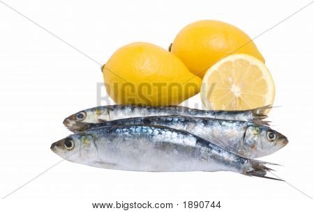 Omega a vitamíny