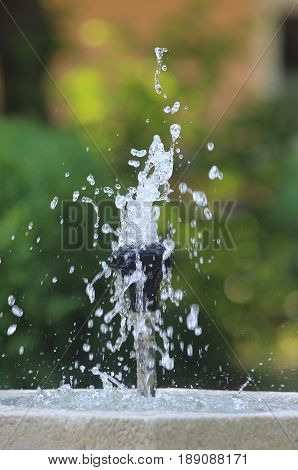 fountain in a sunny park jumping water