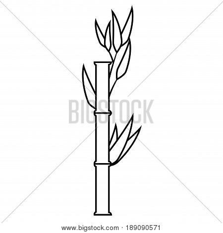 Bamboo japanese plant icon vector illustration graphic design