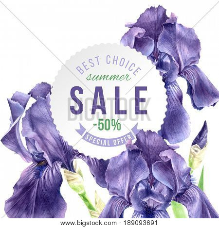 Hand drawn watercolor iris flowers isolated on white background