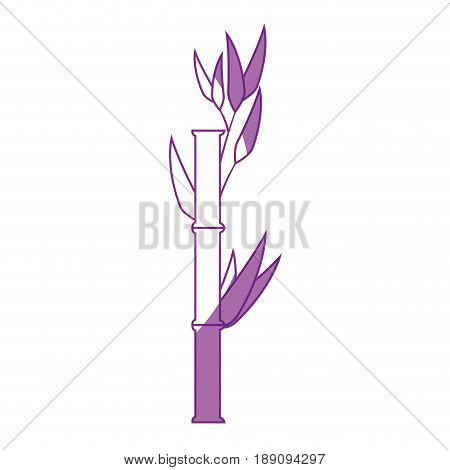 Bamboo japanese plant icon vector illustration graphic design