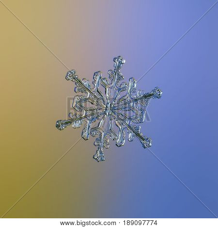 Real snowflake macro photo: medium size snow crystal of stellar dendrite type with glossy, relief surface and six elegant arms, glittering on smooth yellow - blue gradient background.