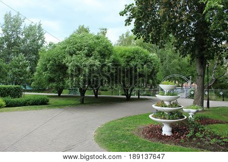 Vase decoration in the park, flowerbed, trees landscape