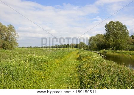 Towpath And Meadows