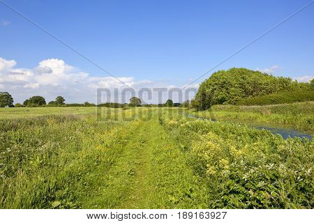 Canal And Towpath