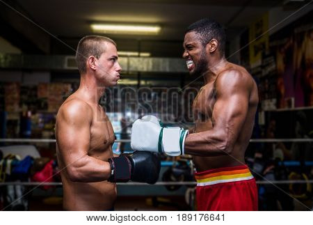 Boxers fighting in a gym - Boxing match