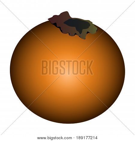 Isolated Lulo Illustration