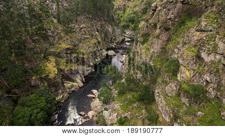 Aerial view of Paiva Nature Walkways on Paiva river