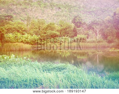 View Of Lake With Green Tree And Mountian Behind