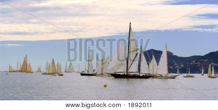 A Royal Regatta