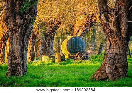 And old moveable water tank hidden among the trees during golden hour, just before sunset, somewhere in the Belgian country side.