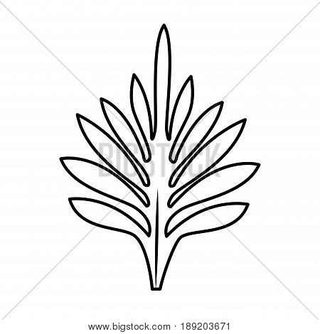 tropical leaves nature foliage flora botany icon vector illustration