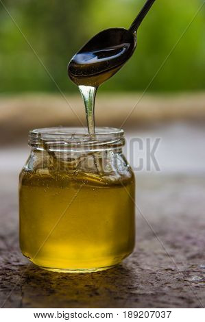 Honey In Jar And Window With Green On Backcground