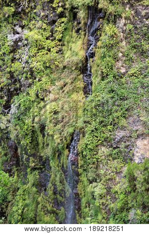 Risco Waterfall of the Twenty-five Fountains Levada hiking trail Madeira Portugal