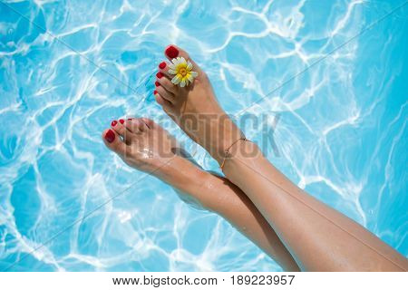 Woman's legs over the swimming pool with flower