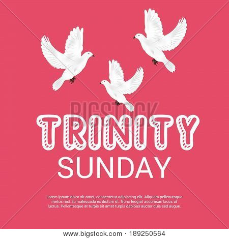 Trinity Sunday_30_mayl_04