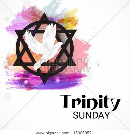 Trinity Sunday_30_mayl_07