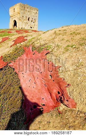 Old Construction In Africa  Red Leather Near The Tower