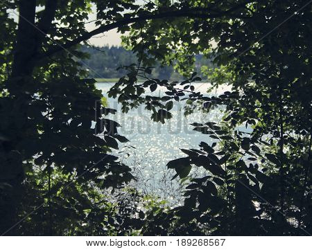 Summer vegetation together with water that leads to the ocean