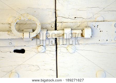 White  Tradate Abstract   Rusty Brass Brown