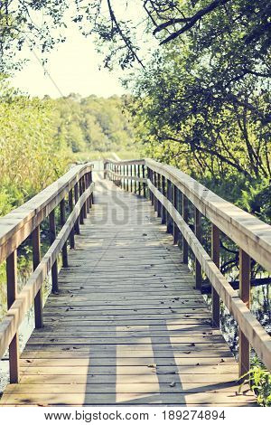 Wooden road that leads to a lake