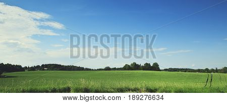Green fields in Sweden. Landscape photo of a Swedish field during summertime.