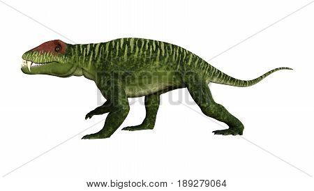 3D Rendering Dinosaur Doliosauriscus On White