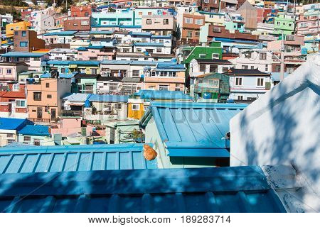 a cat is sleeping on the roof in Busan Gamcheon Culture Village colorful and lovely village in South Korea