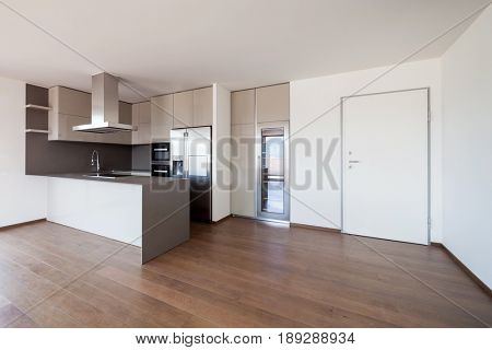 Modern kitchen in new apartment. Nobody inside
