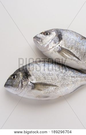 Dorado, Sparus, Bream Fish, Mediterranean Diet
