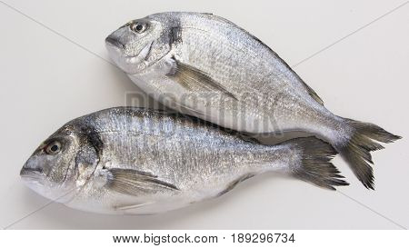 Dorado, Sparus, Bream Fish, Mediterranean Diet