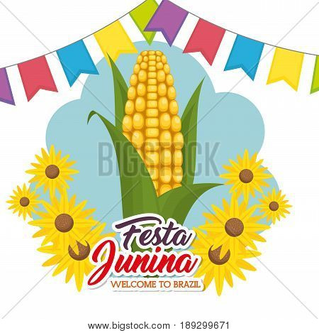 corn and sunflowers with colorful banner and festa junina sign over white background vector illustration