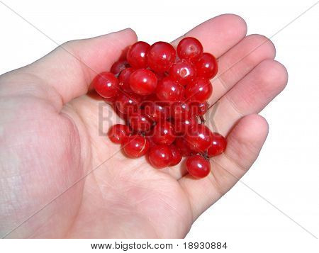 röda bär över vita