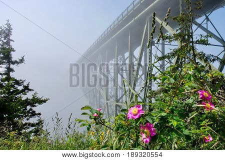 Deception Pass Bridge in fog. Arch bridge. Deception Pass State Park. Puget Sound. Juan de Fuca Strait. Whidbey Island. Seattle. Washington. United States.