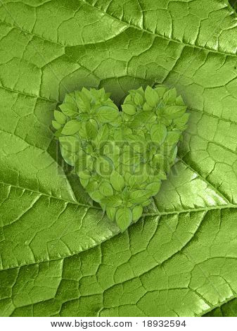 green plant heart