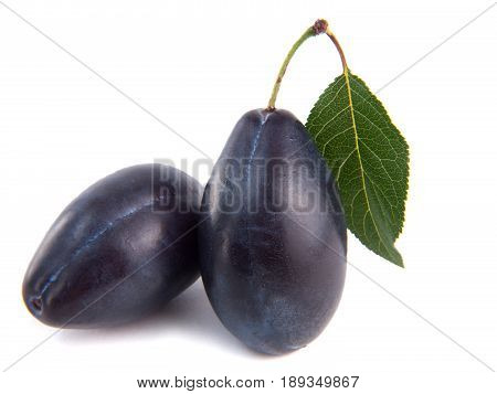 Two blue ripe plums isolated on white background