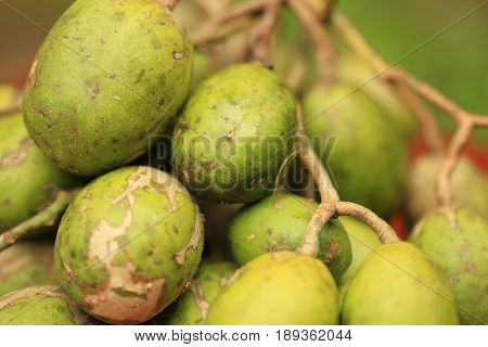 Otatheite apple, Golden apple, Jew plum fruit and herb