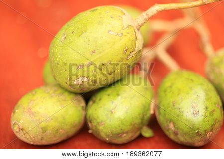 Otatheite apple, Golden apple, Jew plum fruit and herb