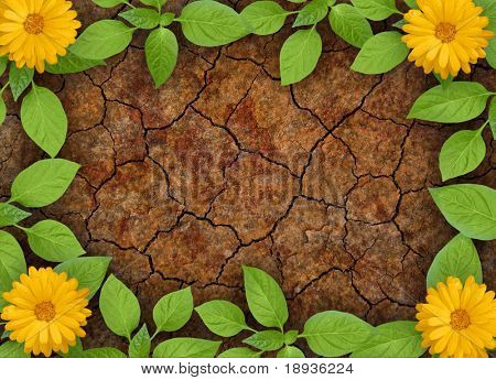 blomster i droughty jorden
