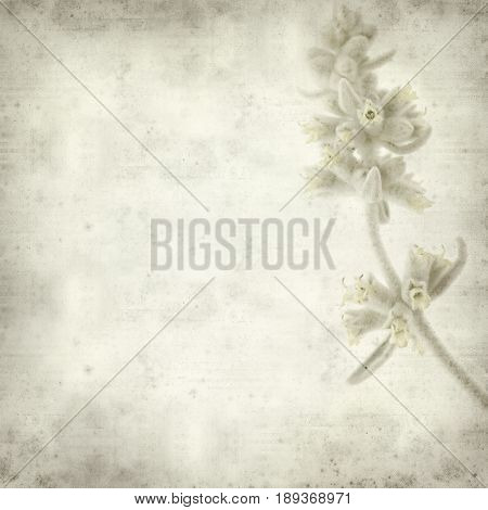 Textured Old Paper Background