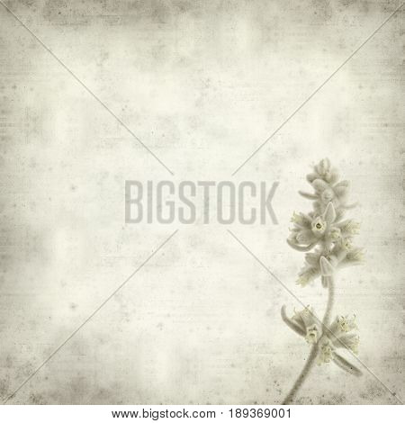 Textured Old Paper Background