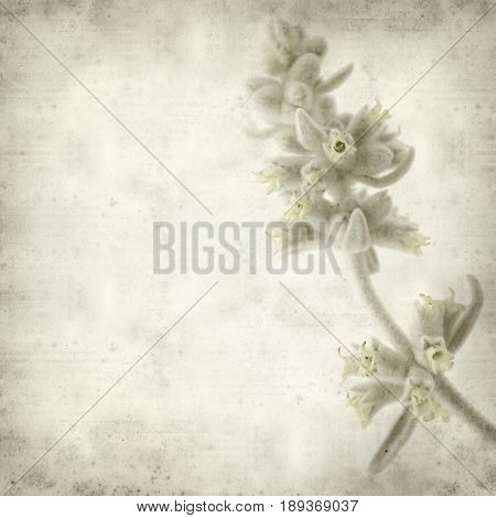 Textured Old Paper Background