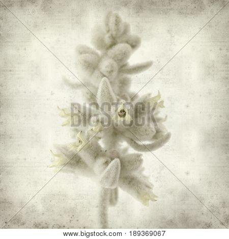 Textured Old Paper Background
