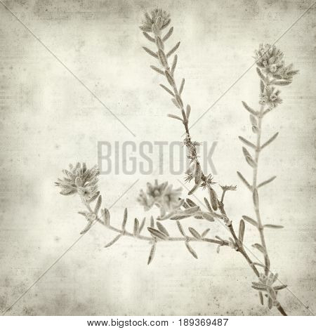 Textured Old Paper Background
