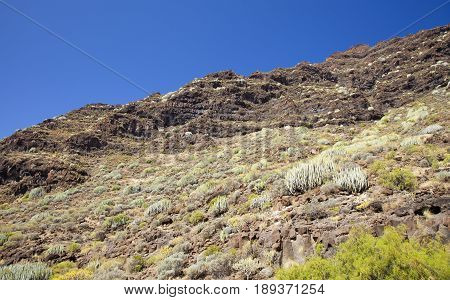 Western Gran Canaria, May